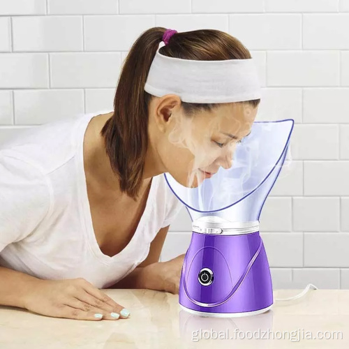 Professional Facial Steamer Portable Steamer Ionic Humidifier Machine Hot Mist Sprayer Manufactory